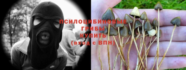 первитин Мегион