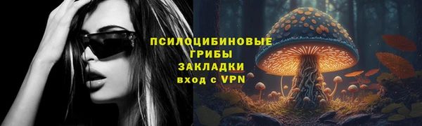 стафф Медногорск