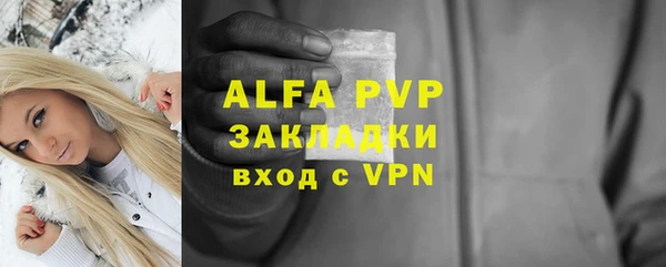 ПСИЛОЦИБИНОВЫЕ ГРИБЫ Медвежьегорск